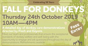 Fall for Donkeys at Ivybridge Donkey Sanctuary