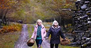 When Autumn Falls (12A)