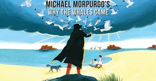 Why The Whales Came