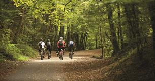 Cyclists riding through the Plym Valley.