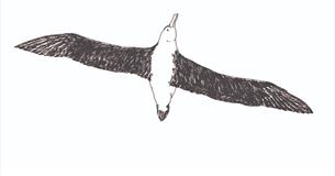 "An injury to the volume": The Rime of the Ancient Mariner and The Lyrical Ballads