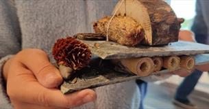Bug Hotels and Seed Bombs at Bridging the Tamar