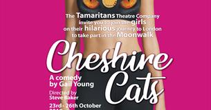 Cheshire Cats