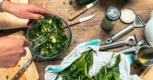 Spring Family Forage