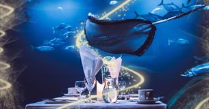 Dine at the Aquarium