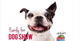 Devonport Park Music Festival & Dog Show