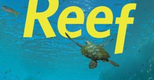 Immersive Dome Experience - Expedition Reef