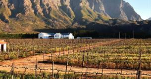 Holden Manz Meet The Winemaker