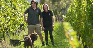 Holm Oak & Harewood 'Meet the Winemaker'