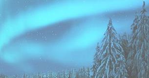 Phoenix Chorale - In the Moon of Winter
