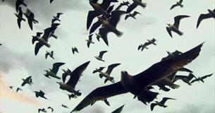 Film: Leviathan (2012)