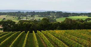 Moorooduc Estate 'Meet The Winemaker'