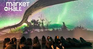 Northern Lights Dome Experience and Short Films