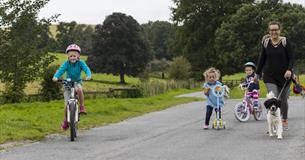 Fresh air, bike rides and dog walks at Saltram