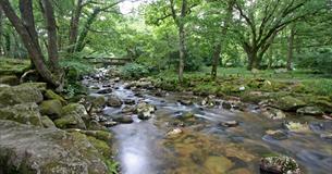 Dartmoor and walkers