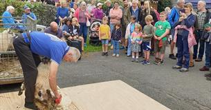 Peter Tavy Village Fayre