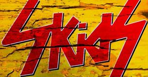 The Skids