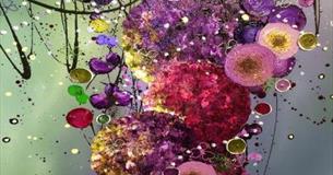 Host Gallery- Summer Love by Leanne Christie