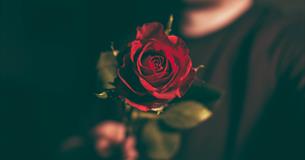 Valentines Day @ Le Vignoble