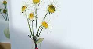 Planet Christmas: Design and make greeting cards using pressed flowers