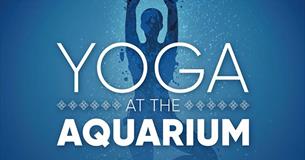 Yoga at the Aquarium