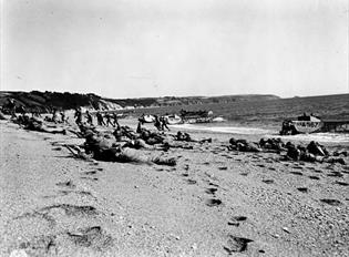 Codenamed Obstacle: the Exercise Tiger tragedy of 28 April 1944