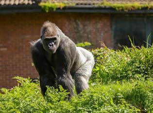 Paignton Zoo