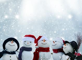 Family Festive Celebration