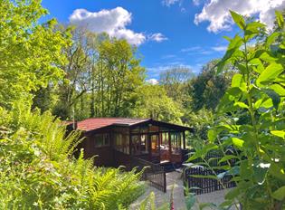 Wooden chalet surrounded by trees