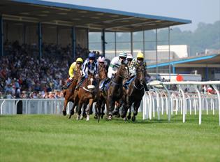 Newton Abbot Racecourse