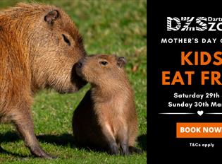 Mother's Day Kids Eat FREE at Dartmoor Zoo