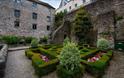 A view of the garden