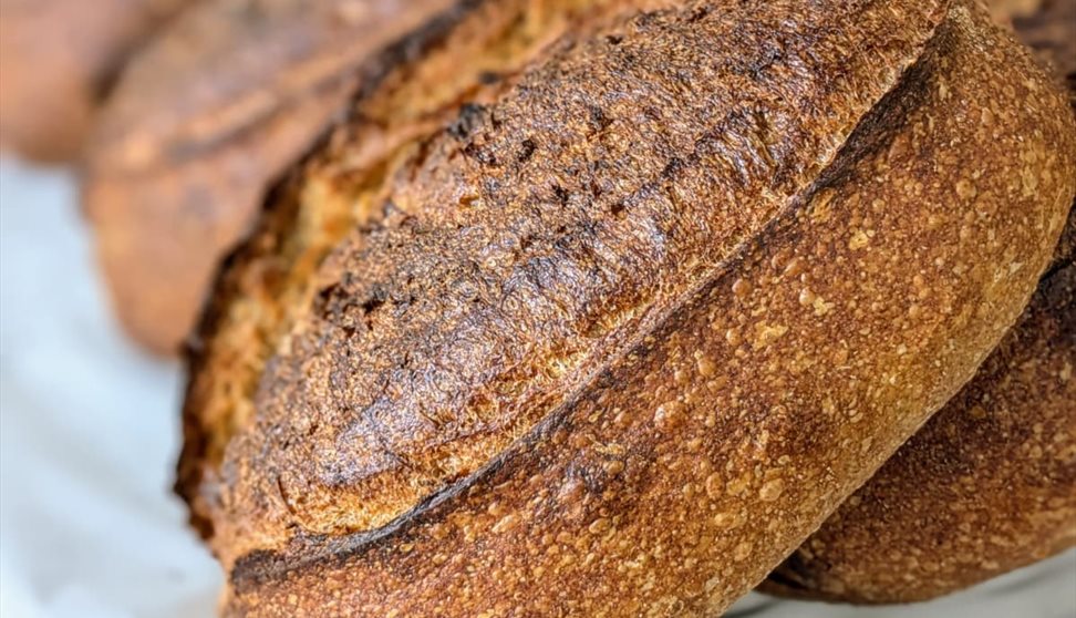 Heyl Bakery