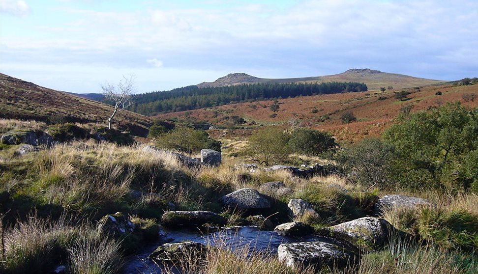 Talk & Film - Dartmoor: The Source of Many Rivers