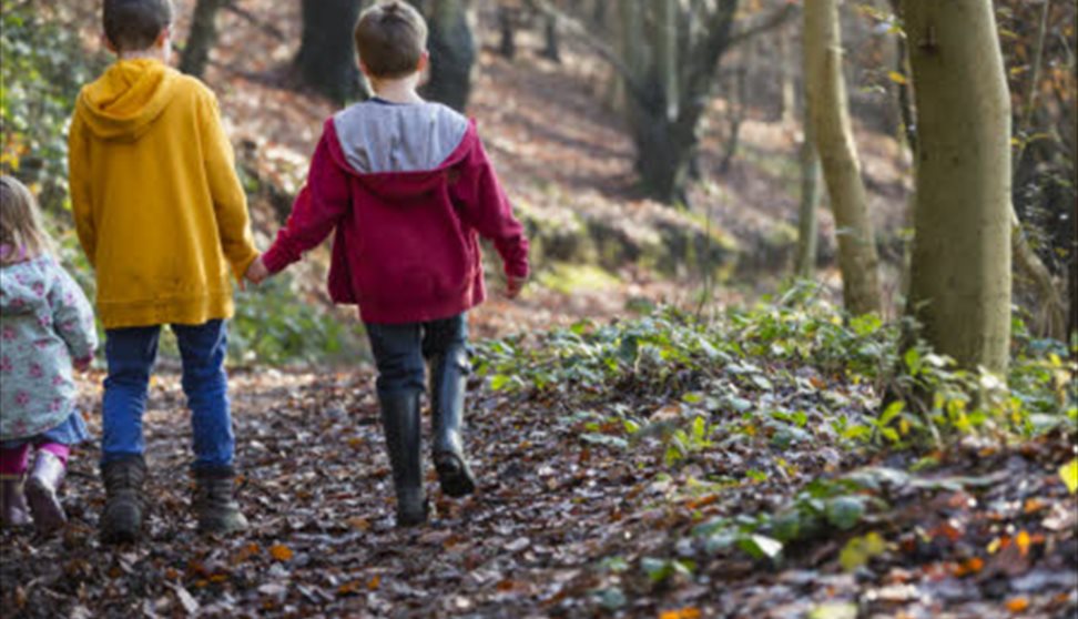 October Half Term at Buckland Abbey