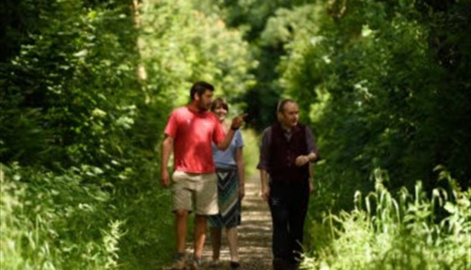 A National Trust Ranger giving a tour to visitors in a green woodland setting.