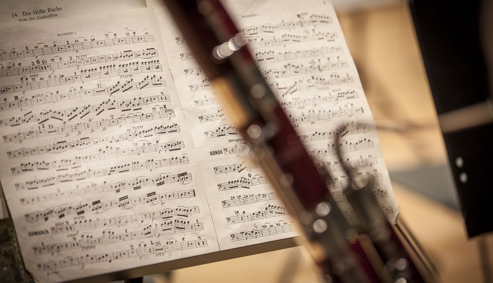 Plymouth University Orchestra Summer Concert