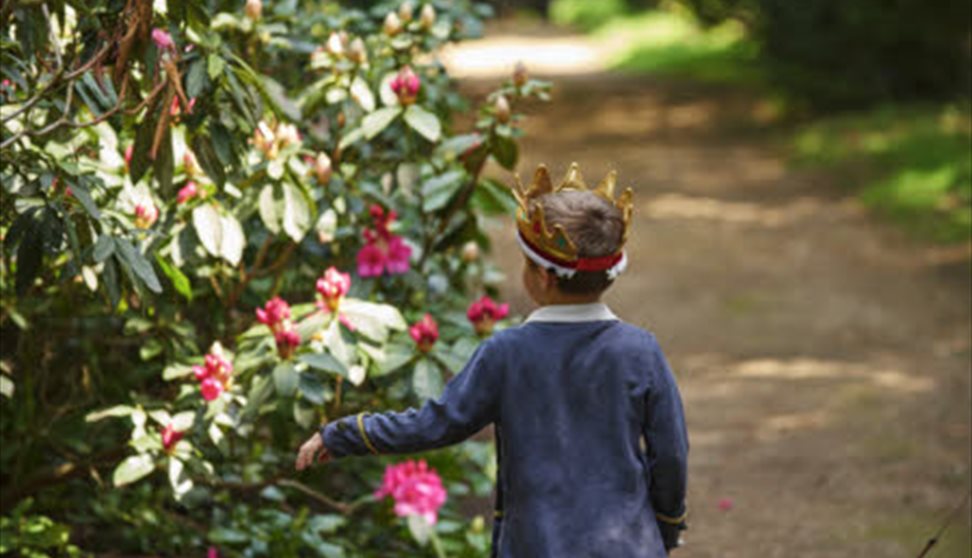 A child in a crown walking through a garden