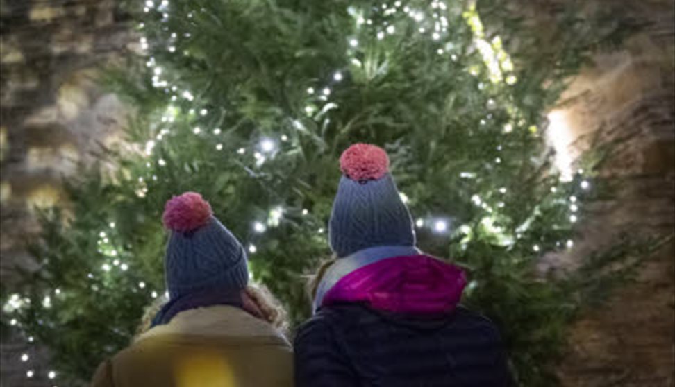 Two people in woolly hats looking up at a Christmas tree covered in lights