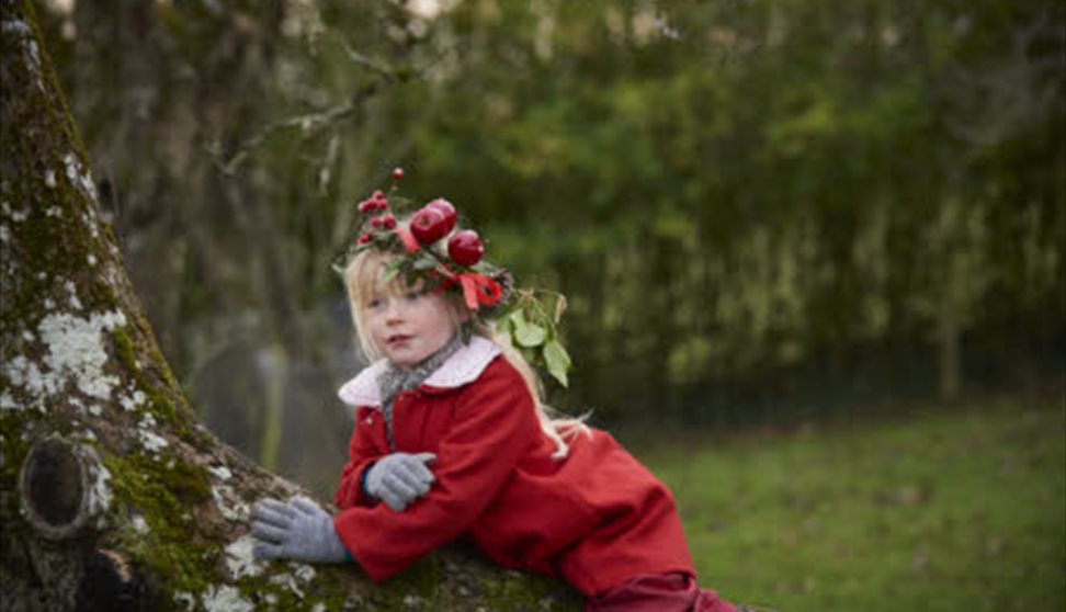 Child wearing a headdress decorated with apples at Avalon Orchard, Glastonbury Tor, Somerset