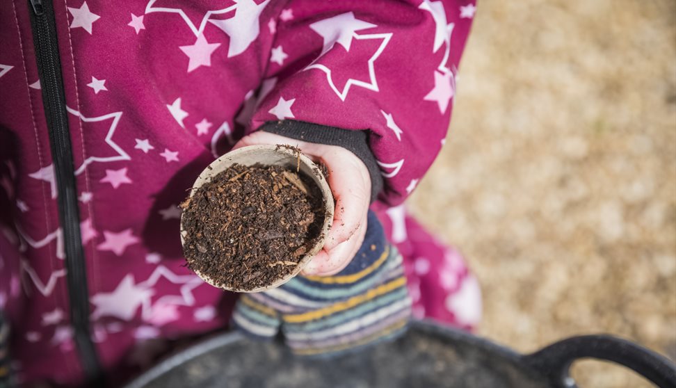 A child's hand holding a container of seed-planting soil