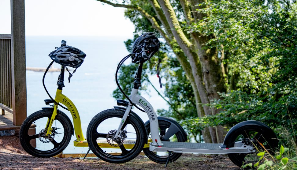 Electric Scooter and Mountain Bike - Downhill experience in Mount Edgcumbe Country Park