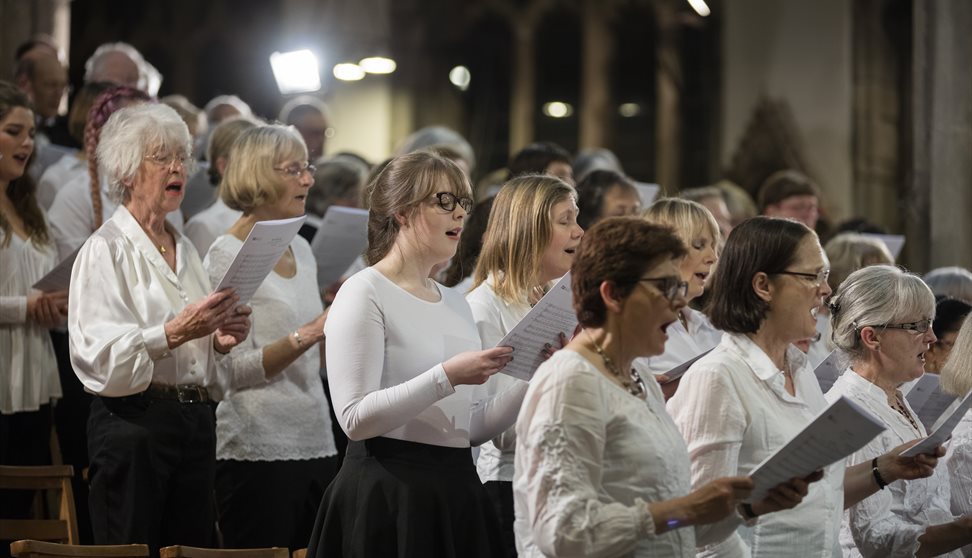 University Of Plymouth Choral Society Summer Concert