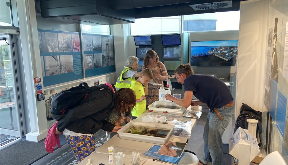 Family Activities with the West Country Rivers Trust