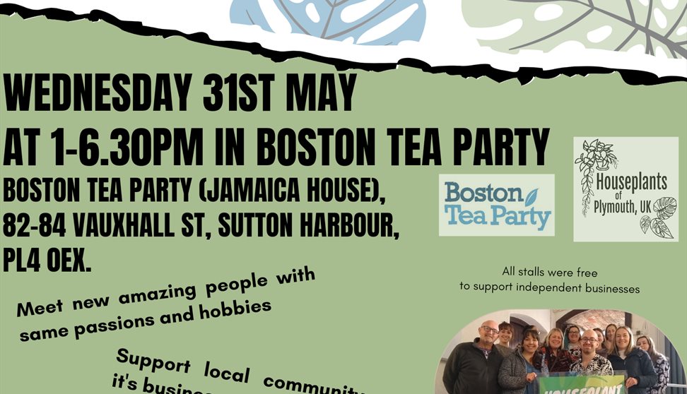 Houseplant and Eco-friendly Funday