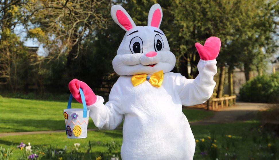 A Magical Tale with the Easter Bunny