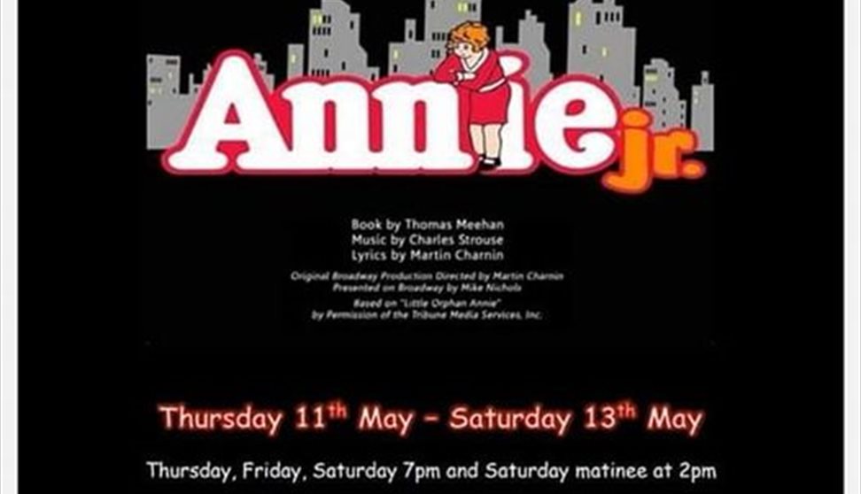 DJR Youth Theatre Company's Annie JR