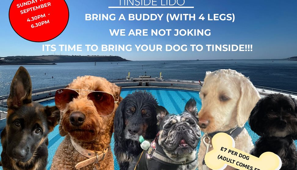 Bring a buddy to Tinside Lido