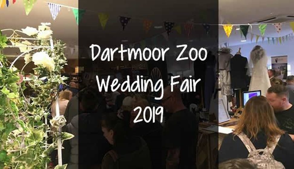 Dartmoor Zoo Wedding Fair 2019
