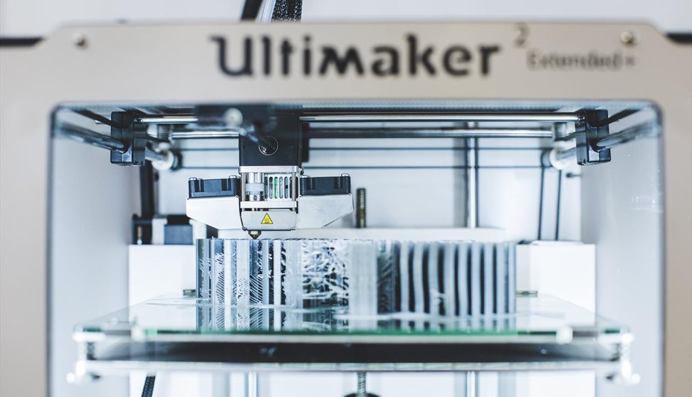 Wild About Plymouth: Skulls in 3D Printing